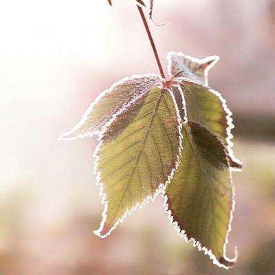 江南体育app下载方式截图